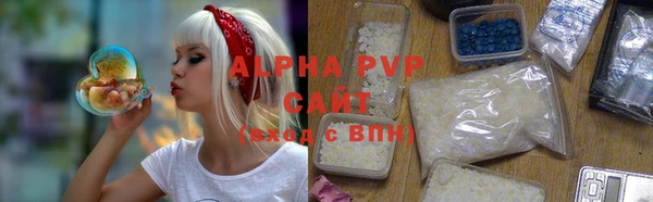 индика Абинск