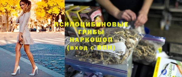 индика Абинск