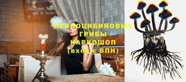 индика Абинск