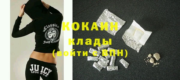 шишки Новодвинск