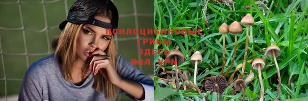 мескалин Абаза