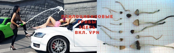 индика Абинск